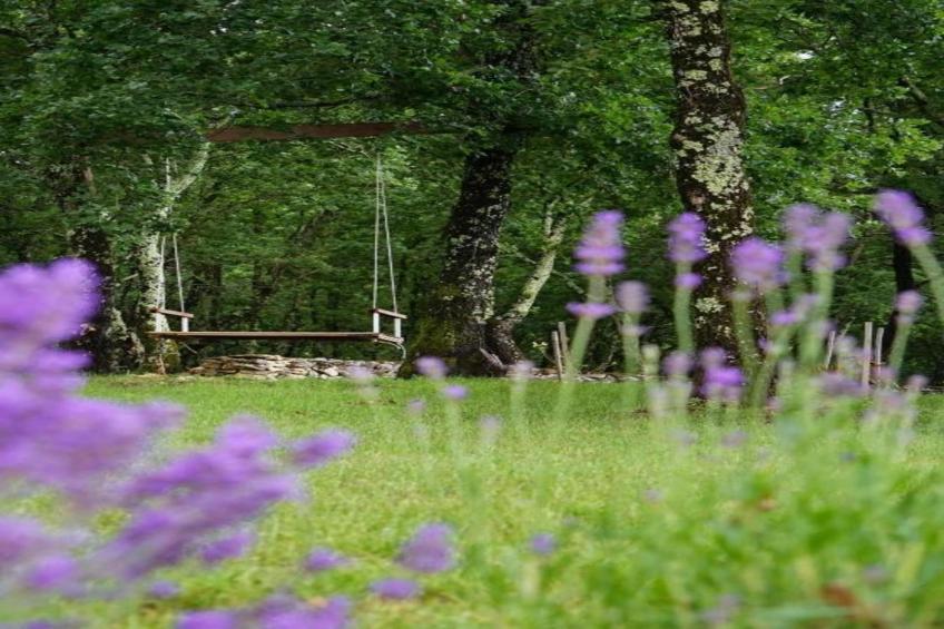 Villa Dolores - foto 41