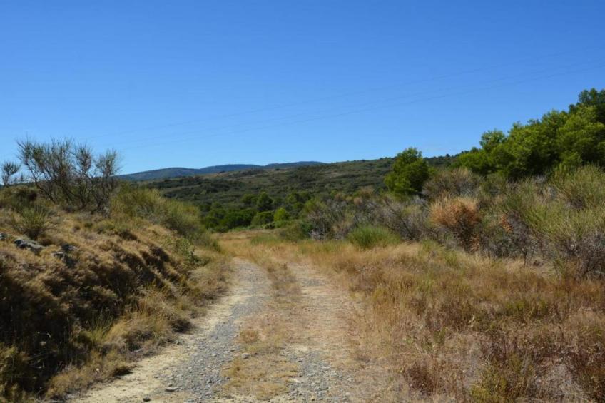 Villa Félines - foto 35