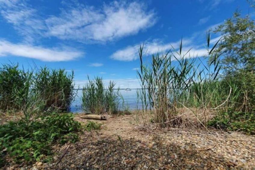 Bauernhaus - foto 21