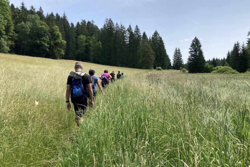 Maison de vacances - LM - foto 42