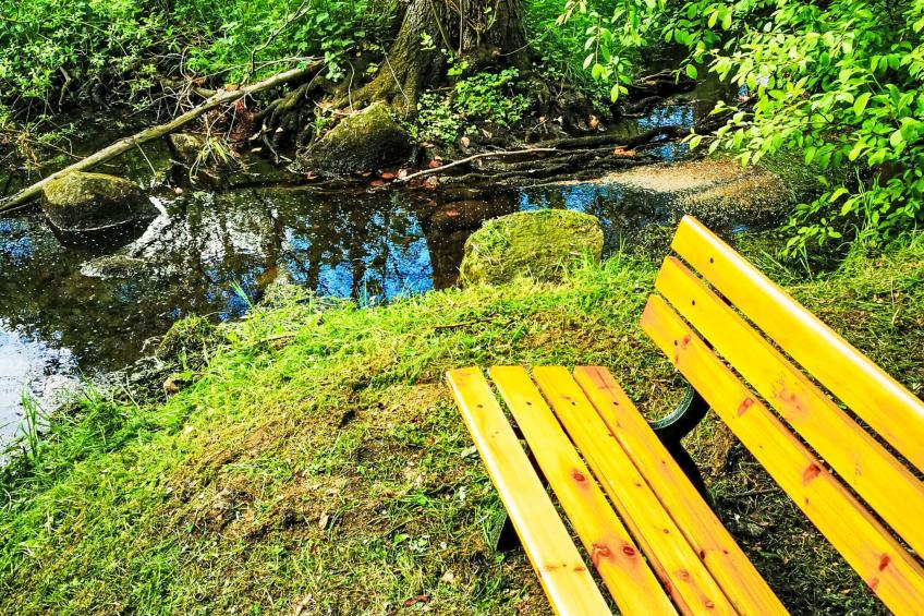 Wohnung in Oberselk mit Garten und Grill - foto 12