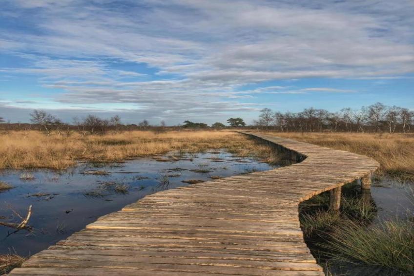 Park De Peel 3 - foto 23