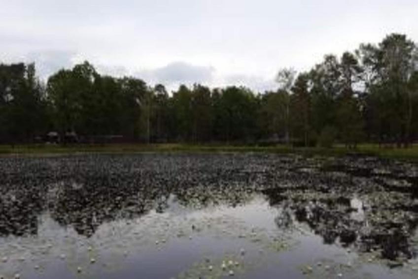 Bungalow 87 - foto 36