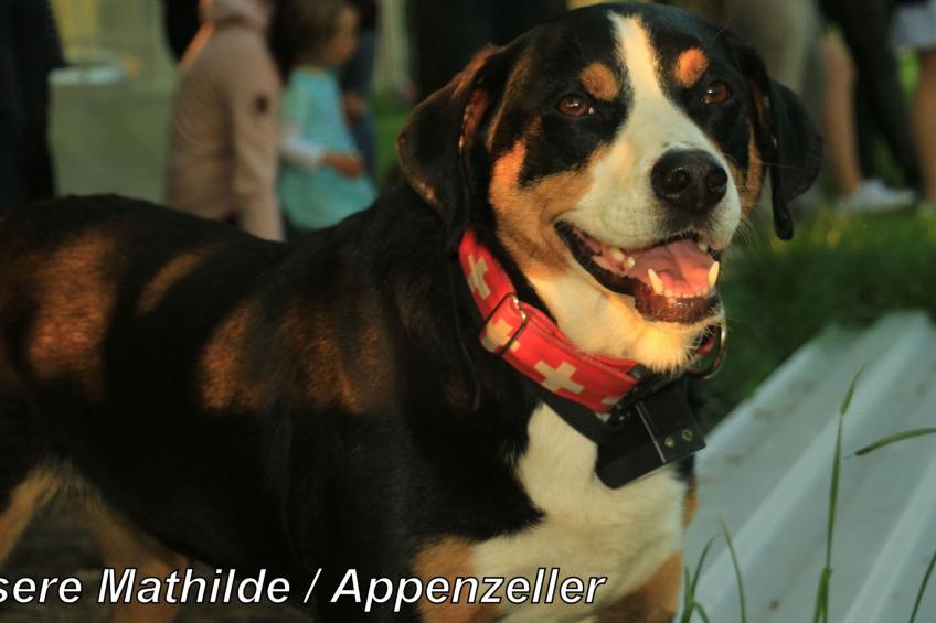 Spree Idyll - foto 24