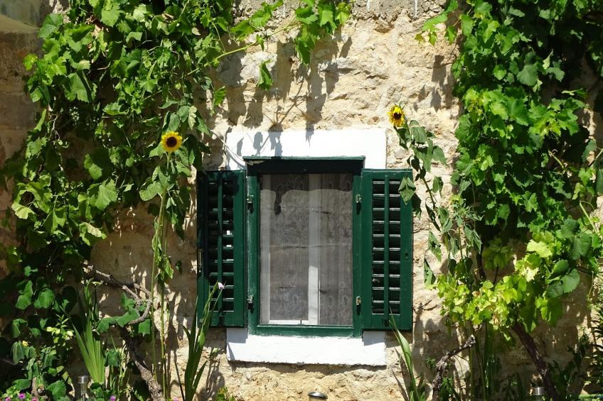 Landhaus Kostela - foto 5