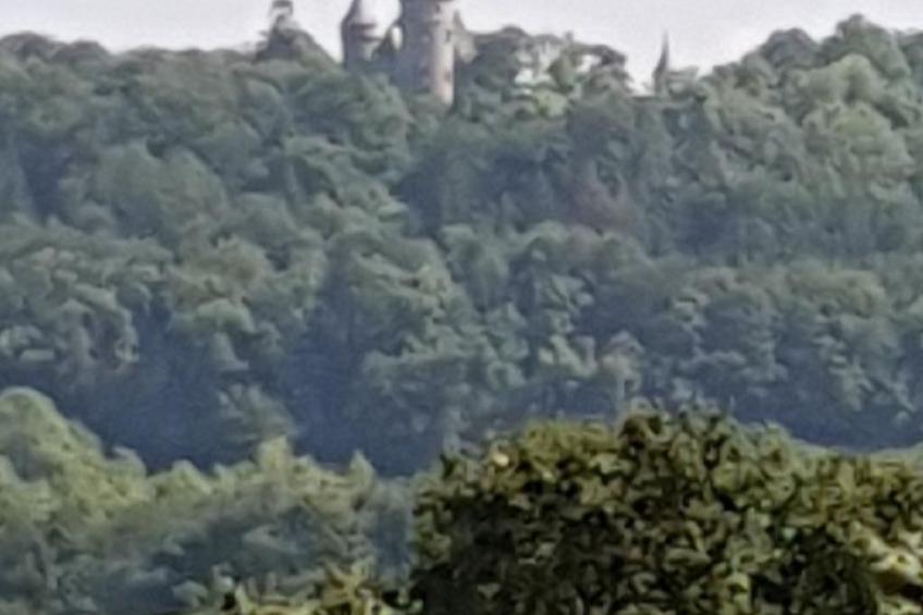 FeWo Landsbergblick - foto 31