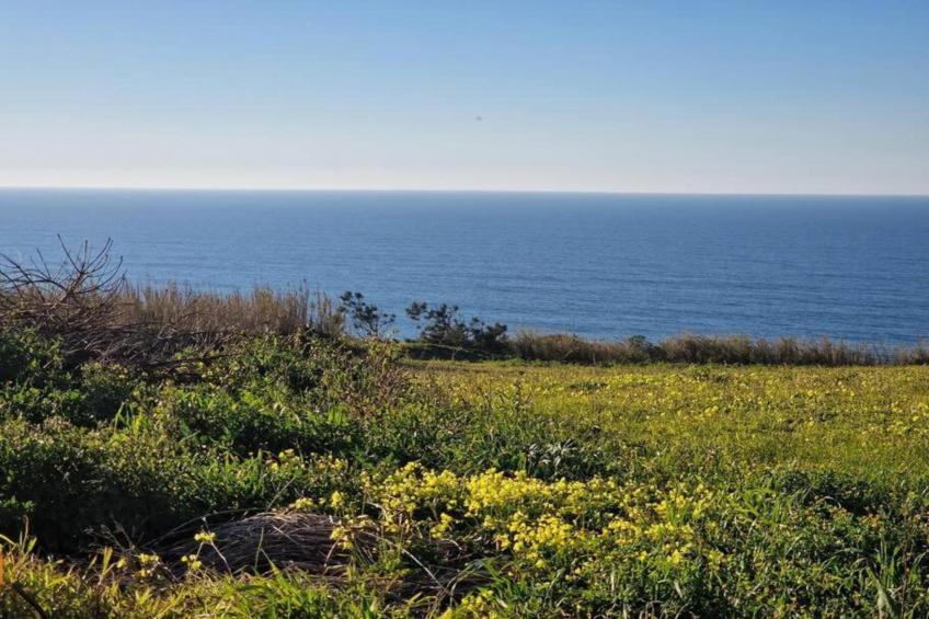 Villa Cabana - foto 36