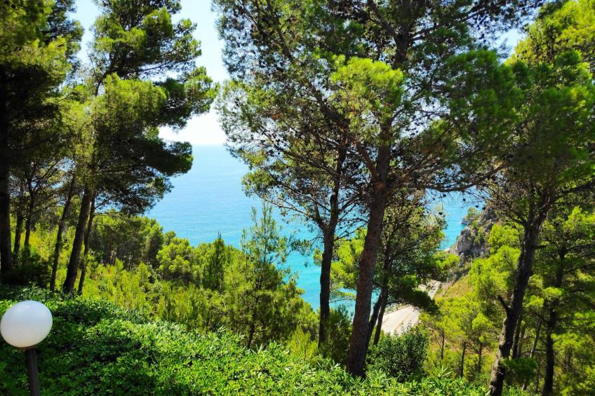 Marilena - foto 2