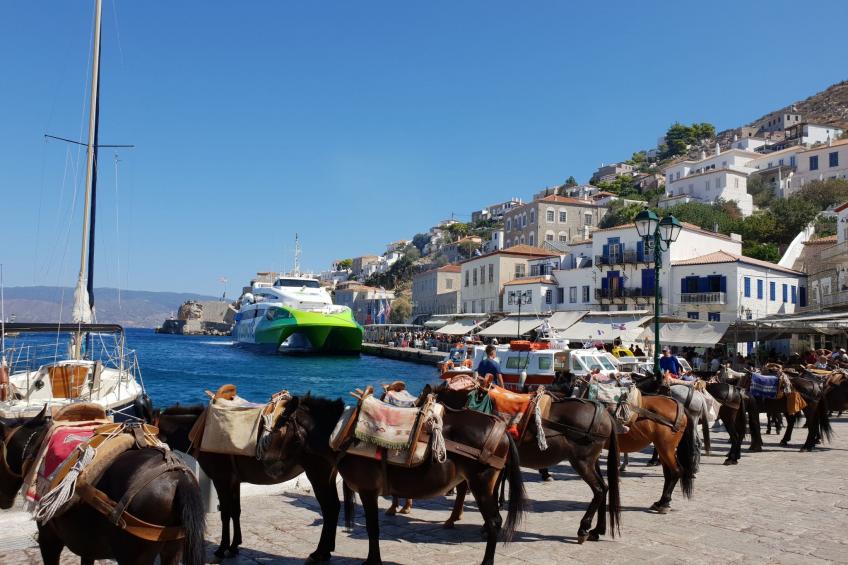 "Villa Newlands" - Pool, Meer und Inseln - foto 33