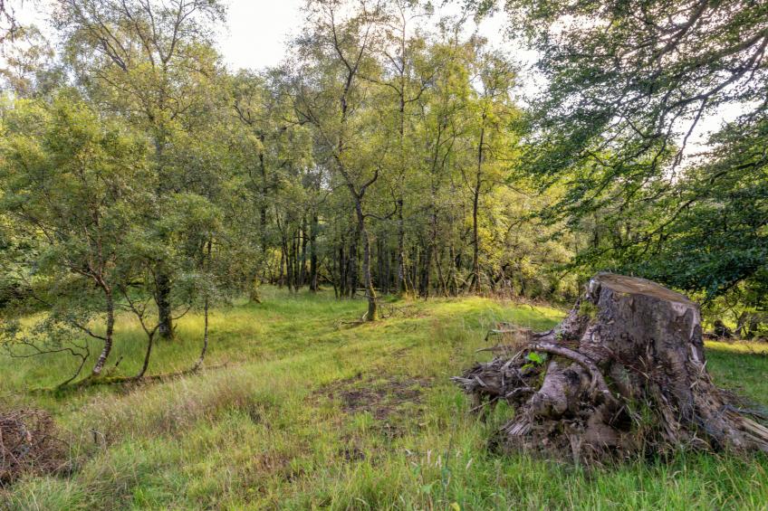 Glenquiech House - foto 62