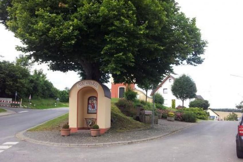 Naturblick - foto 12