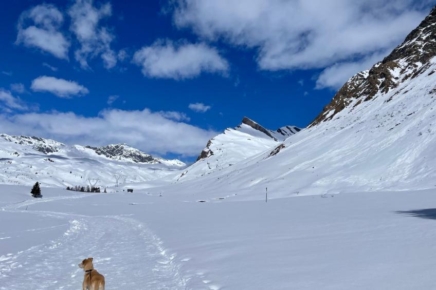 Al bel châlet - foto 16
