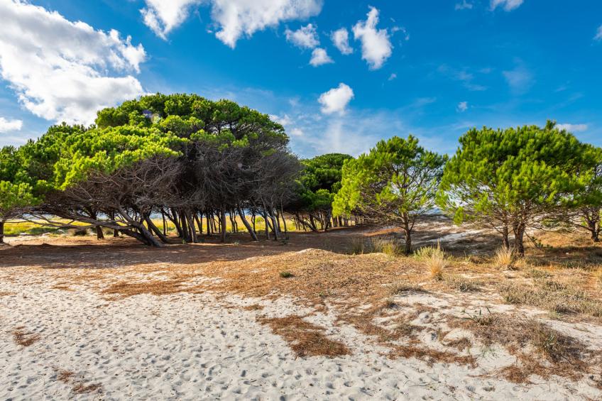 Schöne, strandnahe Wohnung in La Caletta mit Grill - foto 17
