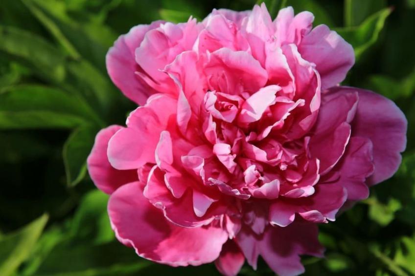 in Storkow mit Schönem Garten - foto 33