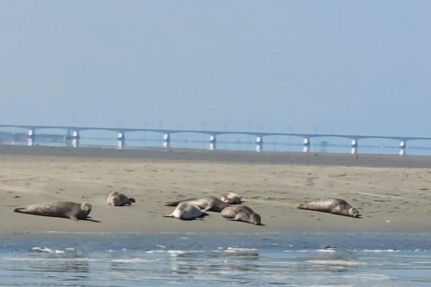 Buurtweg 75 - foto 31