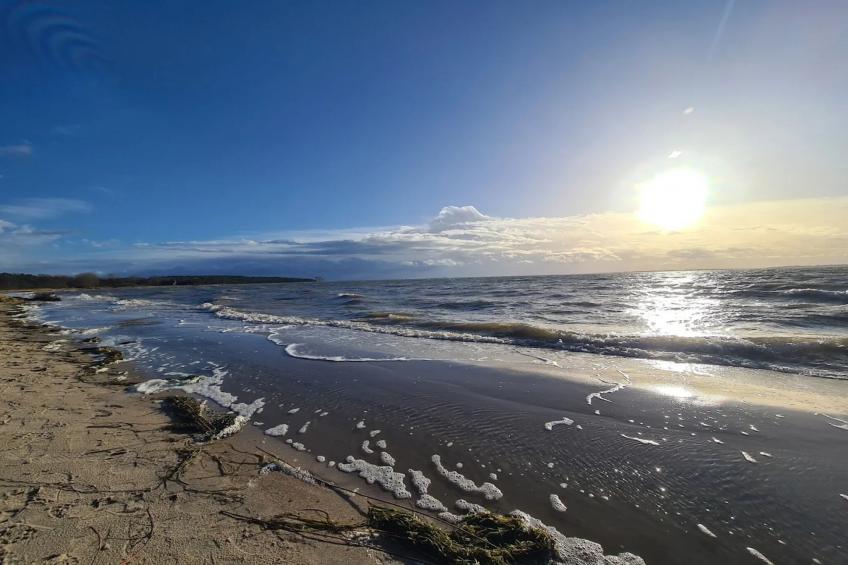 Gutshaus Zicker -Wohnung 3 - foto 34