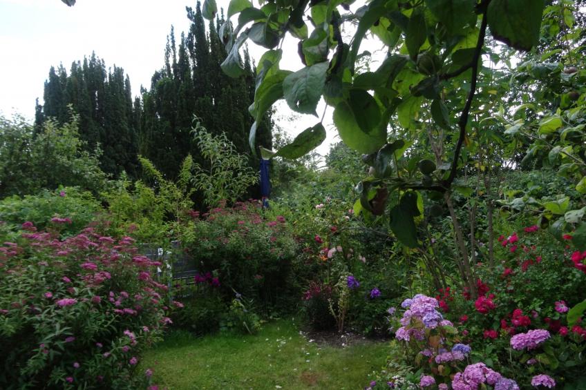 Geltinger Birk - foto 19