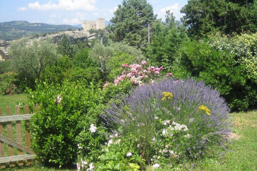 21644 - foto 26