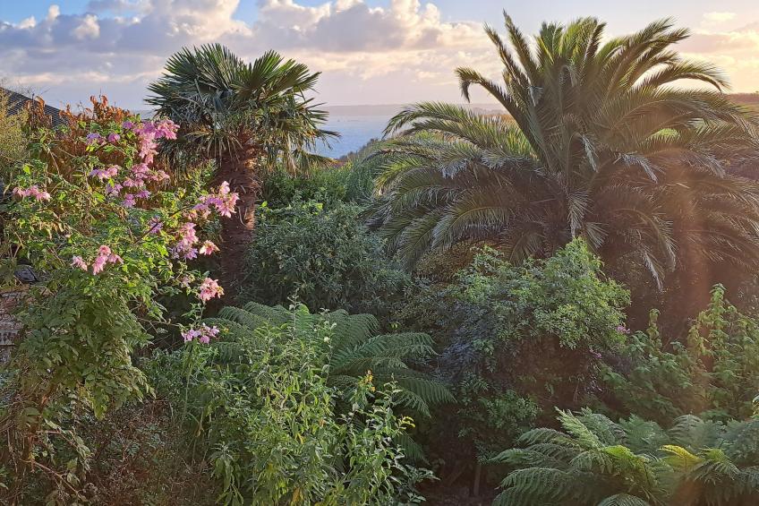 Granitsteinhaus in Guimaëc - foto 25