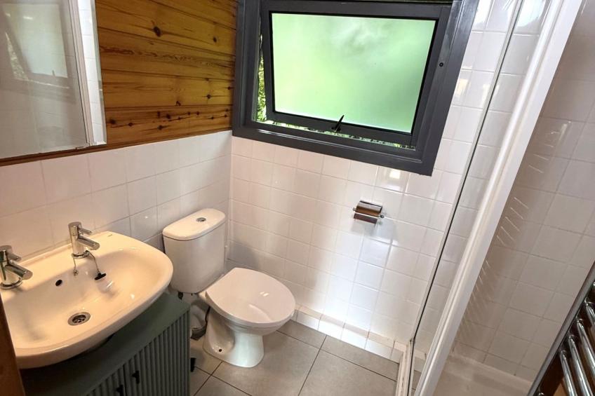 Chestnut Hot Tub Lodge - foto 16