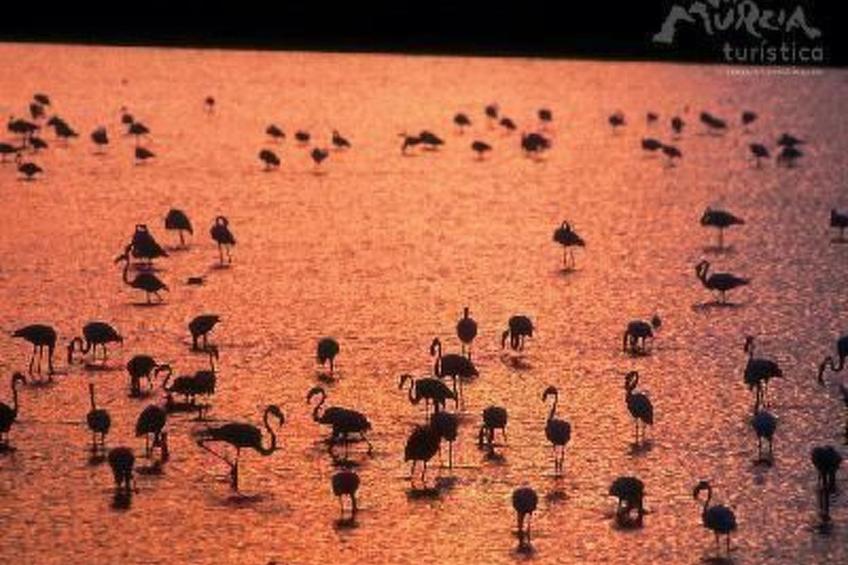 Casa Leticia in Las Beatas - foto 10