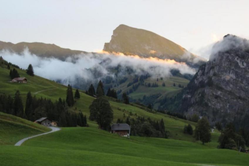 Gsässweid - foto 33