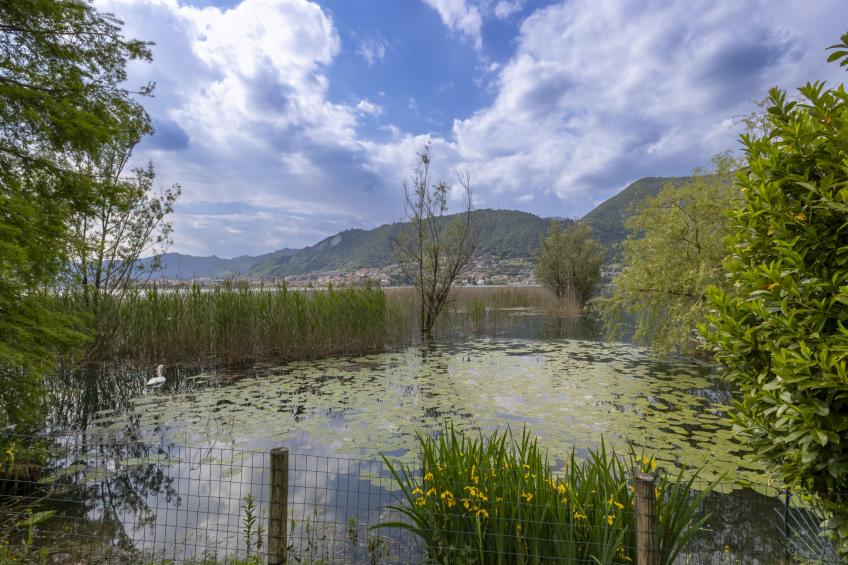 La Casetta sul Lago - foto 64