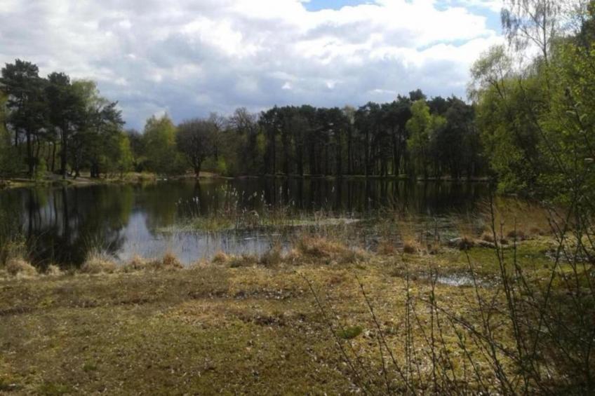 De Mattelier - foto 26