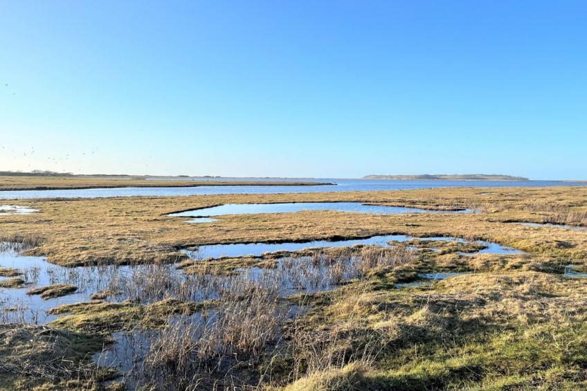 "Dufa" - 200m to the inlet - foto 7