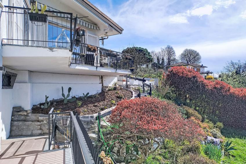 Ostendaise - foto 31