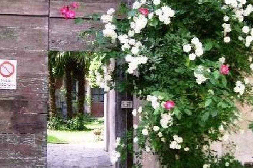 Wohnung Caprifoglio in Miasino