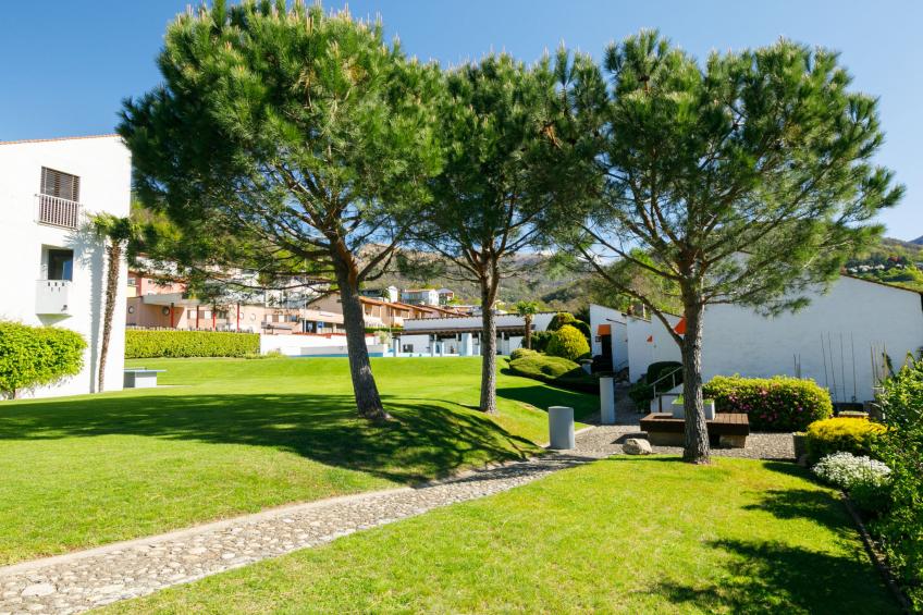 Villaggio Sureggio - foto 36