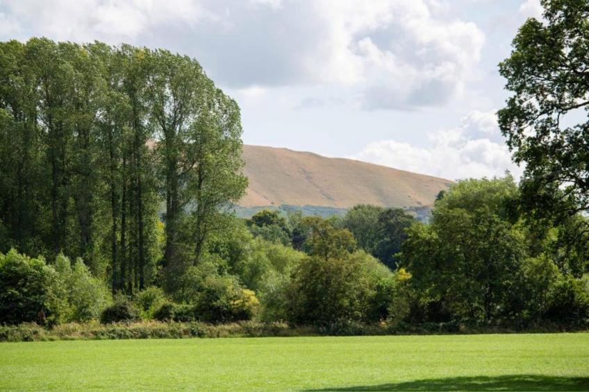 Netley Hall - Thyme - foto 30