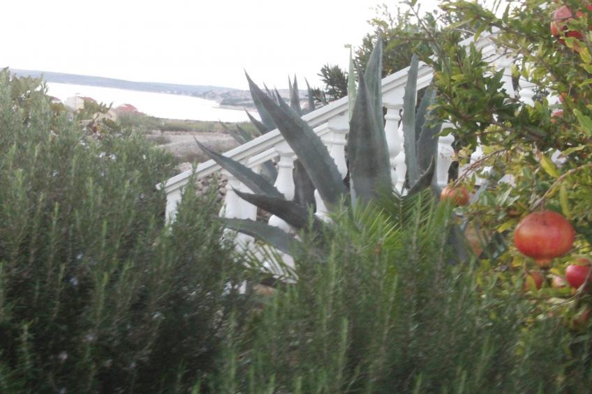 Apartment mit Meerblick - foto 20