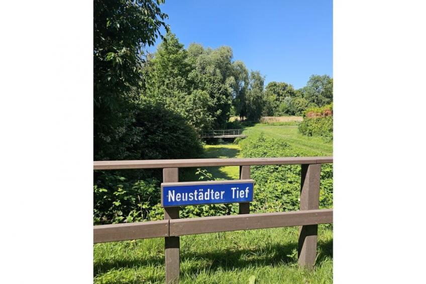 628842 - foto 22