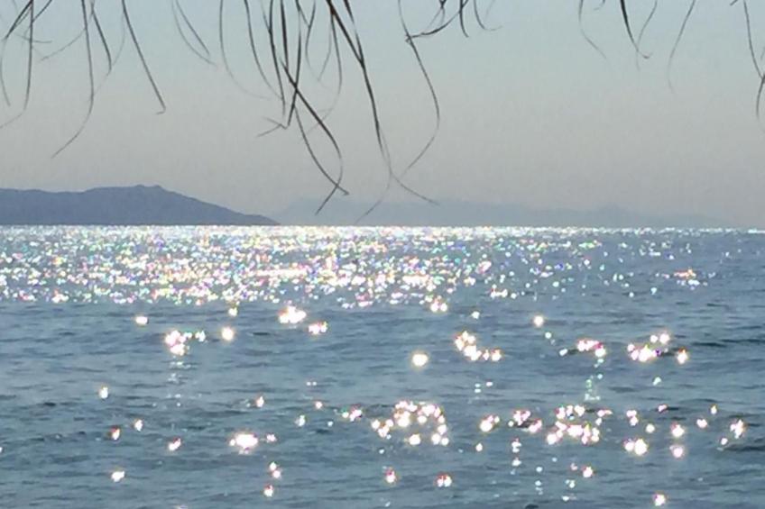 Appartement mit Terrasse - foto 47