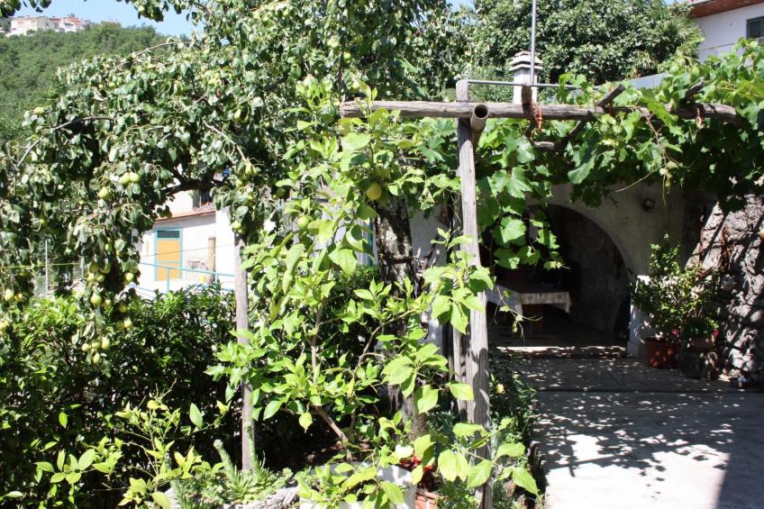 Gemütliche Wohnung Andrea in Opatija - foto 57