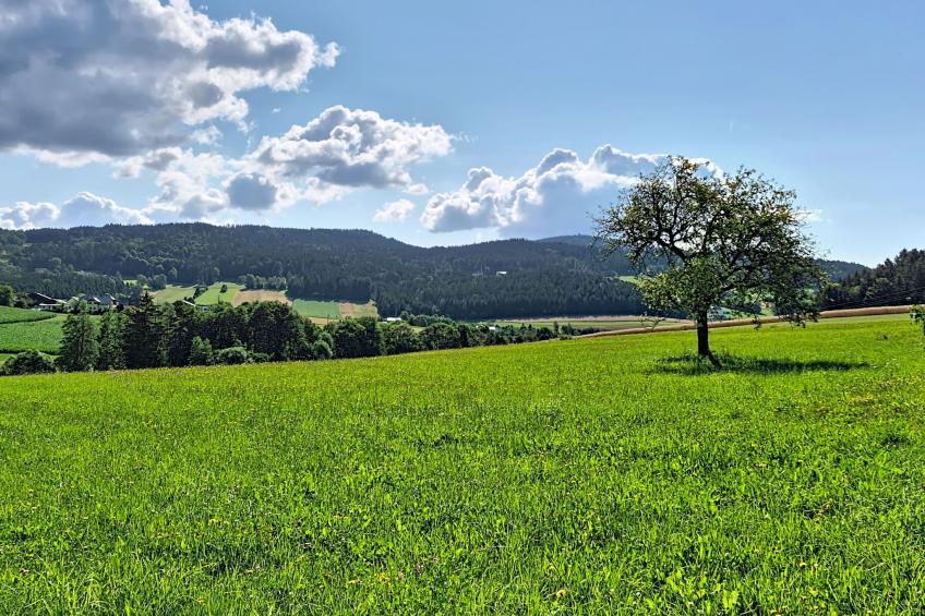 Böhmerwald Pur2 - foto 67