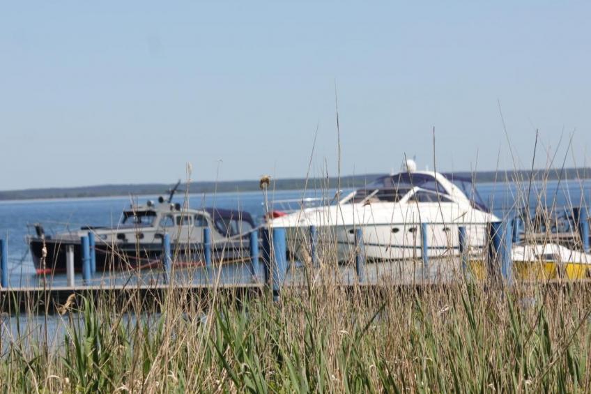 Müritzbrise groß in in Ludorf - foto 22