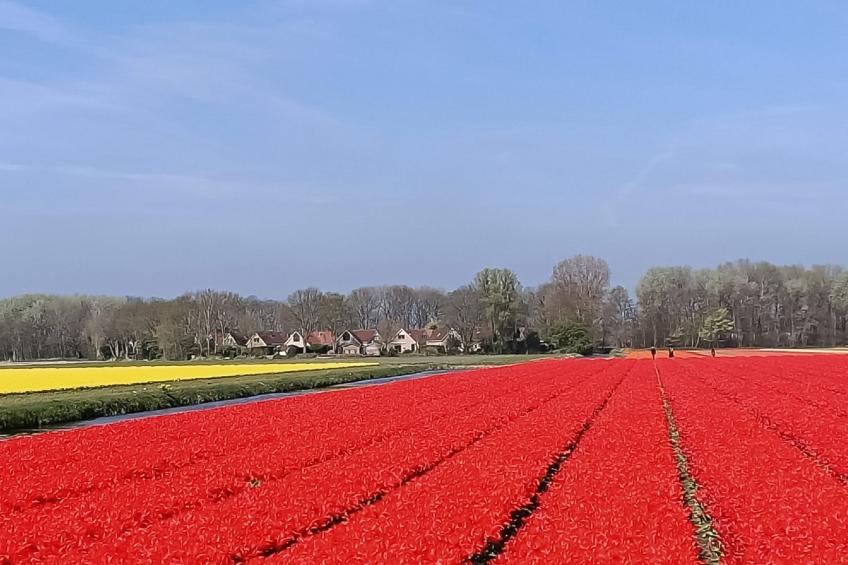 Duyndomein Noordwijk - foto 20