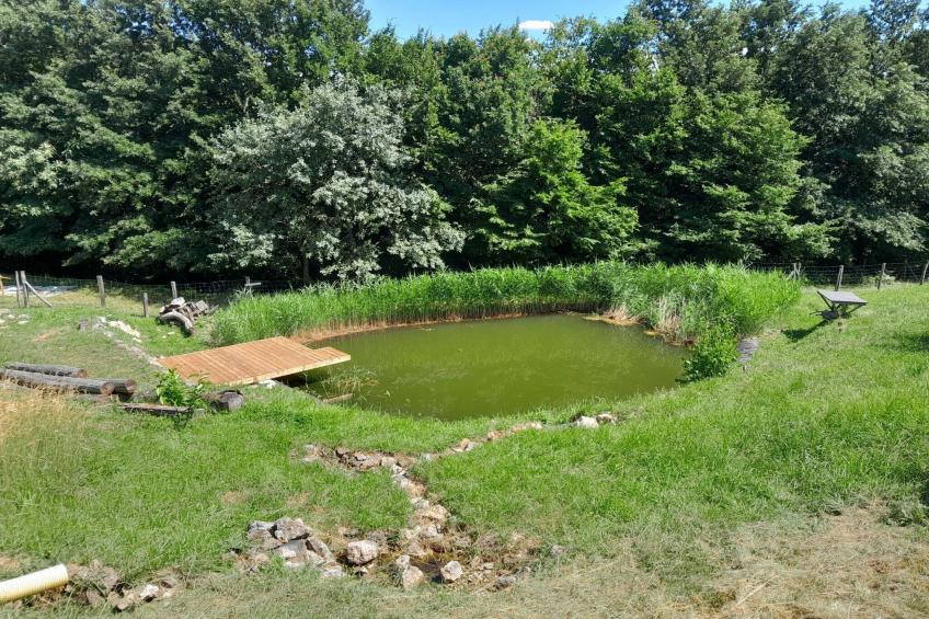 Hidden Authentic Haven Apartments - One Bedroom Apartment with Terrace - foto 25