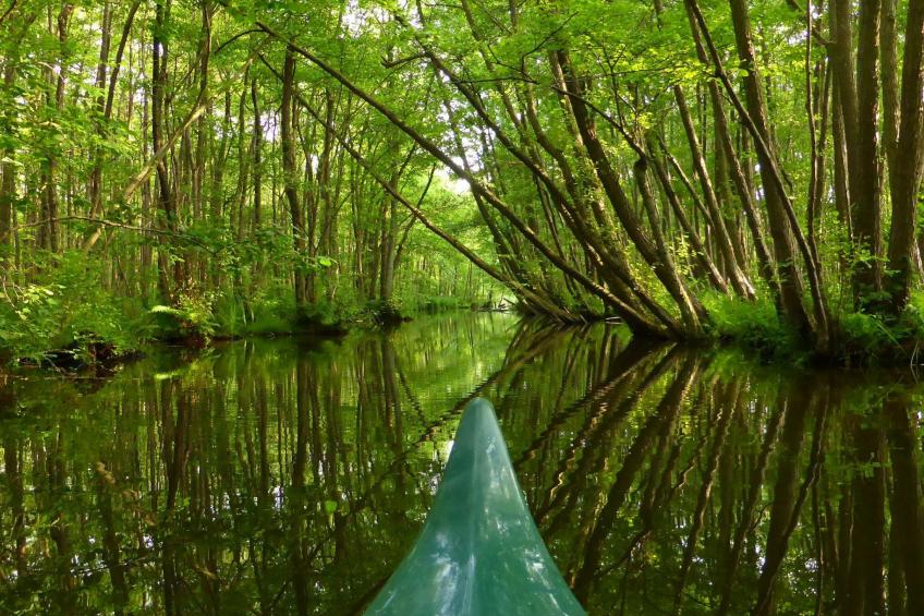 Seeresidenz - foto 17