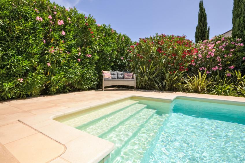 Les Angevines - foto 40