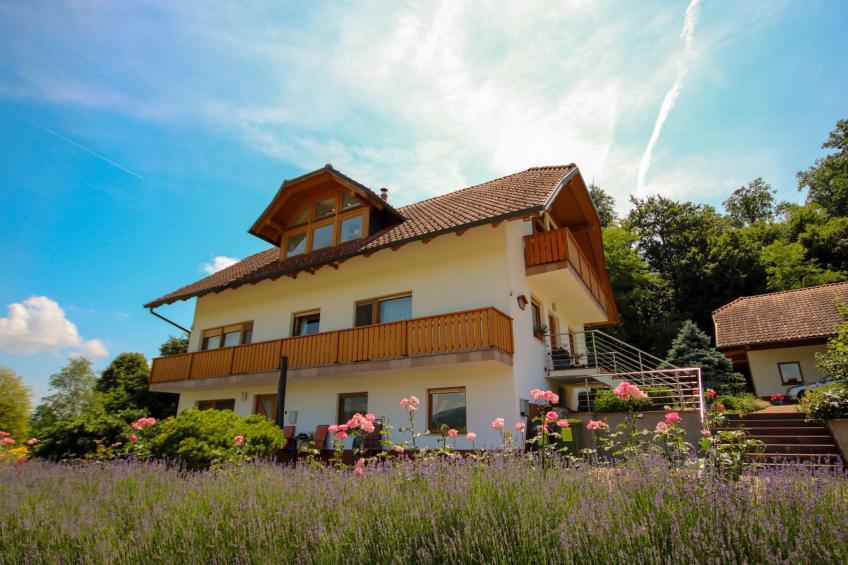 VILLA KATARINA - foto 40