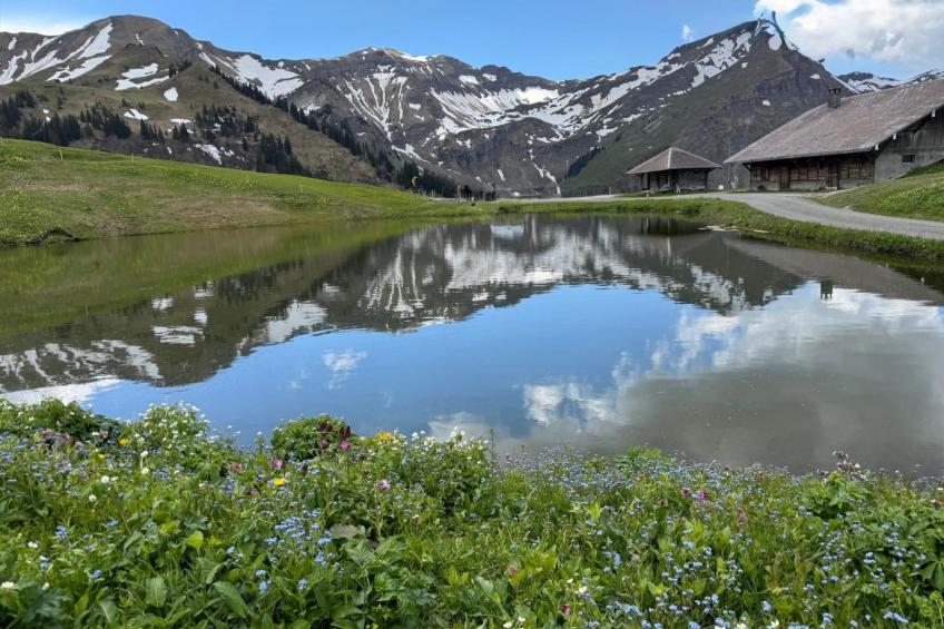 Moderne Ferienwohnung ROTHORN mit 2 Schlafzimmer - foto 15