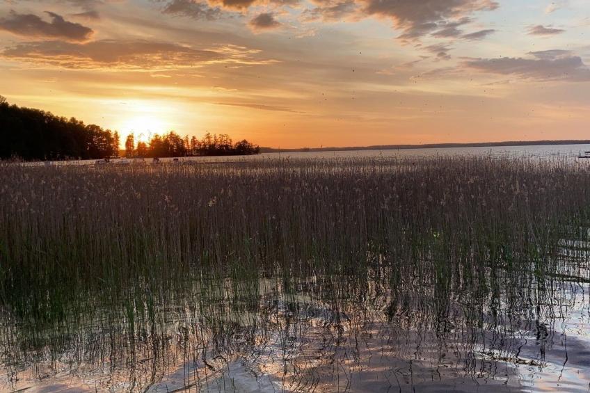 in Tibro mit Kleinem Garten - foto 41