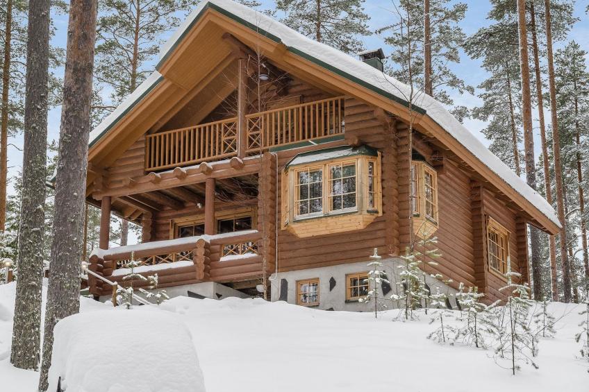 Villa tunturitervakko - foto 20