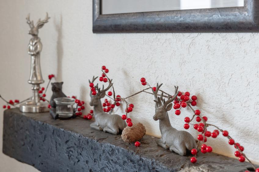 Cransalpin - foto 11