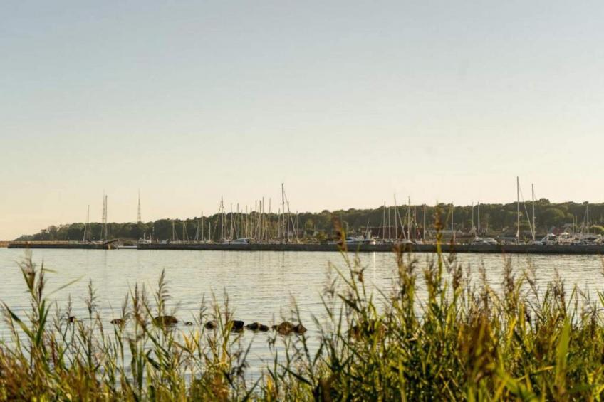 BF-JJG83 - foto 25