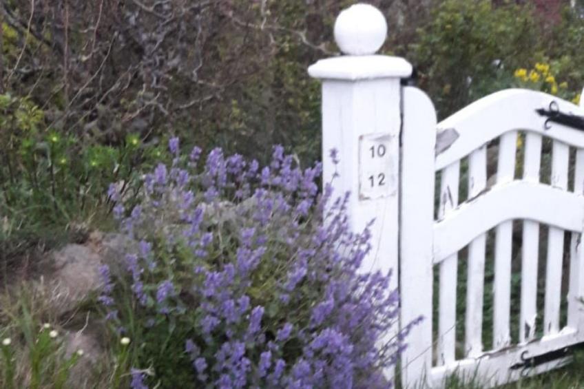 Fewo Meeresbrise - foto 15